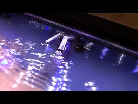 download lagu mp3 mp4 Syphon Stopper, download lagu Syphon Stopper gratis, unduh video klip Syphon Stopper