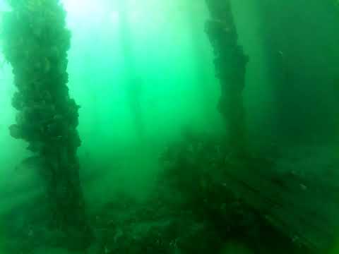 Edithburgh Live by AusOcean 01/03/2023