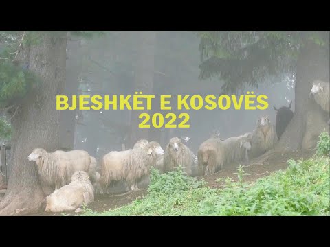BJESHKËT E KOSOVËS 2022-Bjeshka e Zllonopojës, Bjeshka e Lumbardhit,etj.