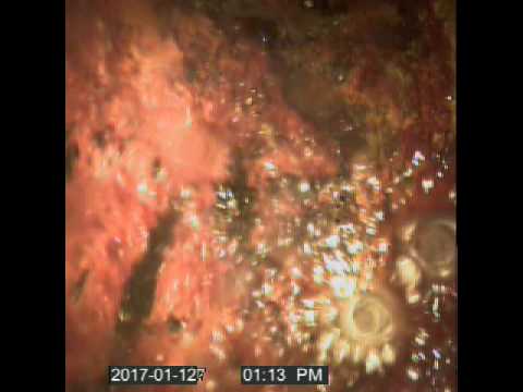 Sewer Camera Video Inspection at 10533 SW 119 Street Miami, FL 33176