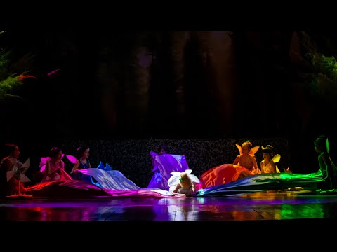 A Magia das Fadas | MOVA Studio | Festival Infantil 2025