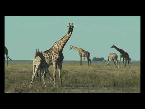 CLIMI E AMBIENTI CLASSE 4