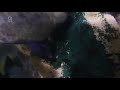 Video: Diergaarde Blijdorp