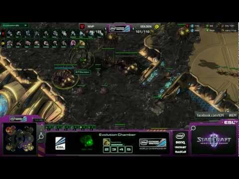 TvZ - IMMvP vs STGolden Game 3 - IEM Group D