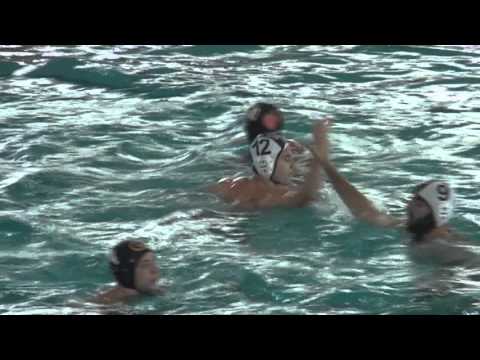 Il remix di Civitavecchia - Arvalia