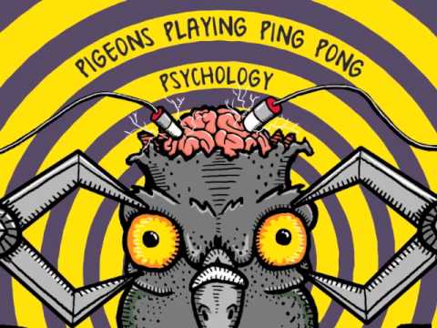 Melting Lights - Pigeons Playing Ping Pong