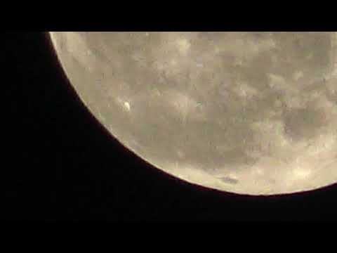 Evil Grimace - Hardcore