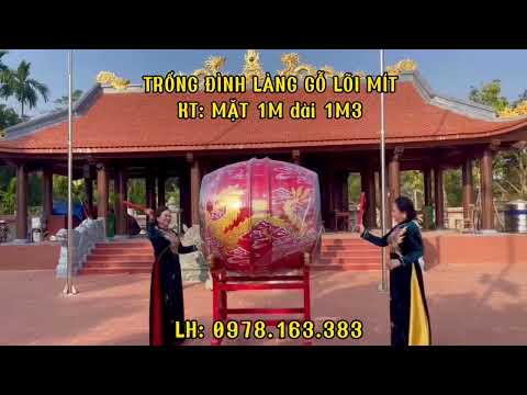 Ảnh đại diện Video