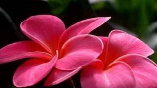 Download lagu THANK YOU, LOVE - Jose Mari Chan mp3