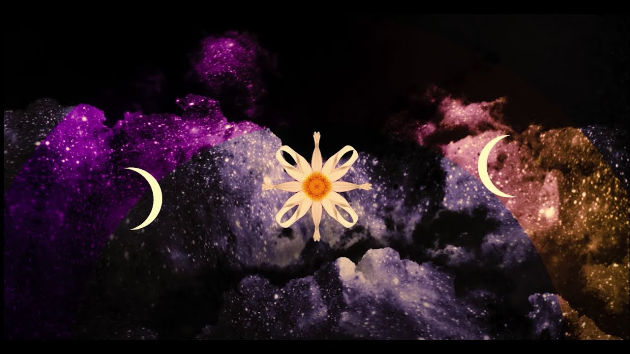 Etherwood - Dahlia (Official Video)