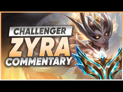 The best way to carry with Zyra Support