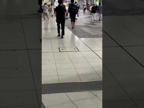 アカゲザルの同性愛