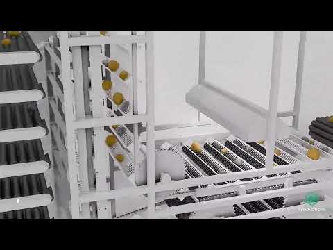 Revolutionary Optical Product Sorting: Unlimited Categories, Maximum Precision!