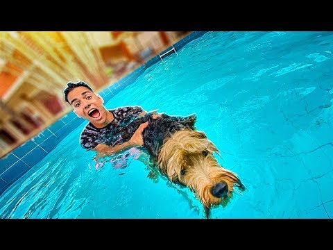 I WENT INTO THE POOL WITH MY DOG FOR THE FIRST TIME