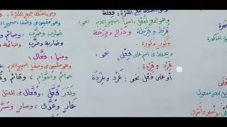 صورة شرح ابن عقيل ( 803-807 ) 175