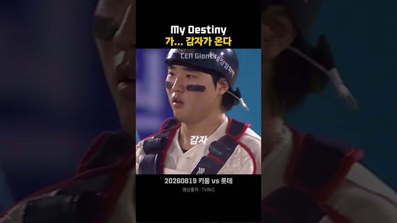 My Destiny! 가... 감자가 온다!! #손성빈 #최준용 #잡도리 #롯데자이언츠