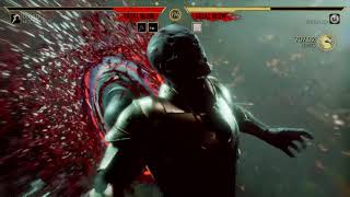 Mortal Kombat 11 - Towers Of Time - Stage 14 - Fatal Mistake