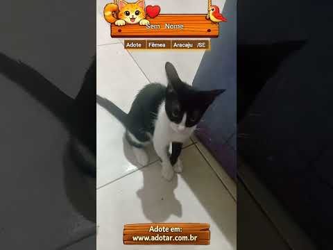 Vídeo de Sem Nome