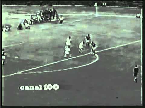 Palmeiras Campeão Paulista de 1959