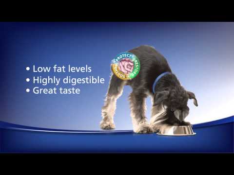 Hill's® Prescription Diet® i d® Low Fat GI Restore Canine