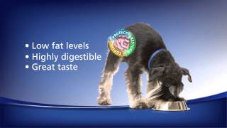 Hill's® Prescription Diet® i d® Low Fat GI Restore Canine