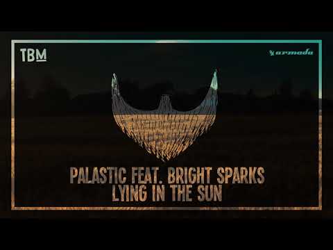 Palastic feat  Bright Sparks   Lying In The Sun