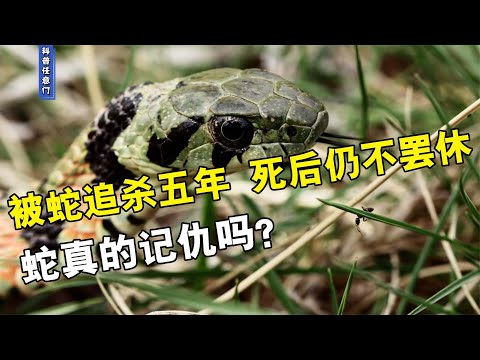 墳墓有蛇