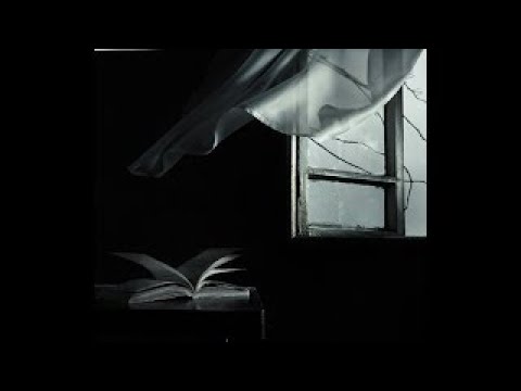 The Diving Bell and the Butterfly   - Paul Cantelon