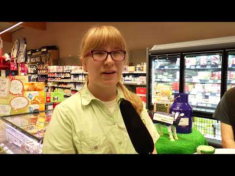 Ausbildungsprojekt im EDEKA-Markt Schellig Oederan