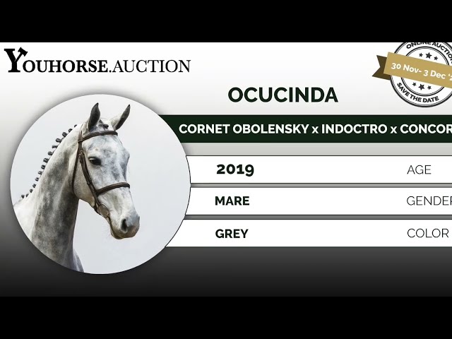 Ocucinda homevideo