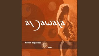 A Heymischer Bulgar (Live)