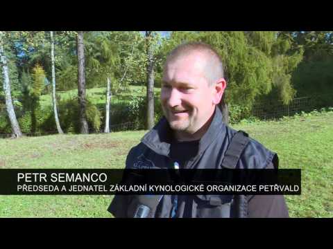 Petřvald - Kynologický závod o pohár starosty Města Petřvald, 10/2016