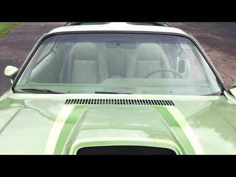 1979 Chevrolet Camaro Z28 (CC-1144621) for sale in Milford, Ohio