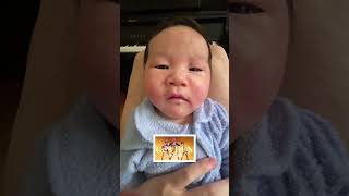 Download lagu Golden Kpop Demon Hunters but it's my Baby's Cooing mp3 Download lagu Golden Kpop Demon Hunters but it's my Baby's Cooing mp3