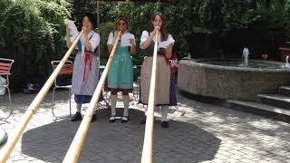 Alphorn, Jodeling, Swiss Akkordeon / Solo, Duo or Trio