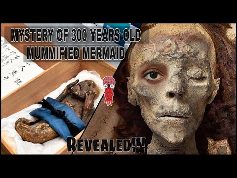 Mystery of 300 years old mummified mermaid | YAA! | English