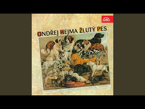 Hamlet - kralevic dánský