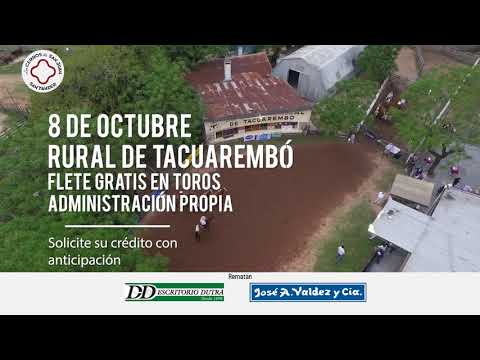 LOS CERROS DE SAN JUAN 8 de OCTUBRE