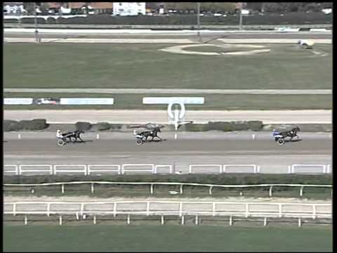 Trotto 19/10/2014 - prova di qualifica