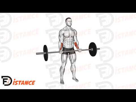 Exercice Flexion des poignets inversé à la barre