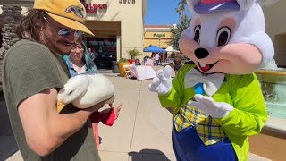 I took my duck to the Easter Bunny