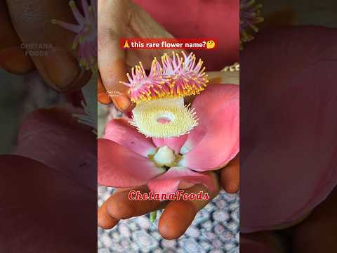 ఈ rare flower ఏంటో తెలిస్తే comment చెయ్యండి🤔 #mahashivratri #lordshiva