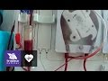Novedosa máquina de hemodiálisis ayuda también a limpiar la sangre