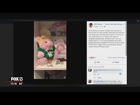 Sentimental pink bear lost at Busch Gardens Tampa Bay