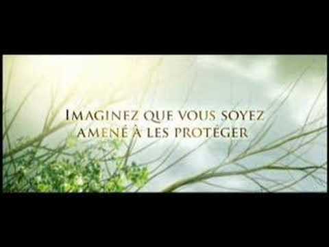 Les Chroniques De Spiderwick Xbox 360