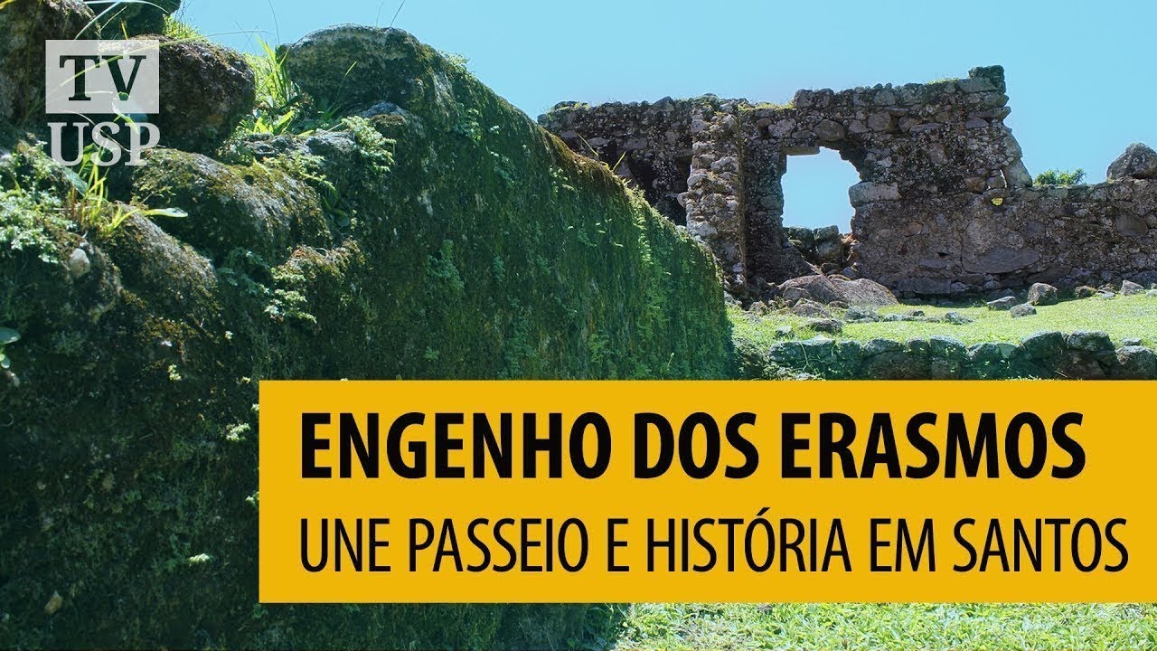 Engenho dos Erasmos une passeio e história em Santos #JornaldaUSP