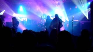 Saxon Hellcat Den Atelier Luxembourg