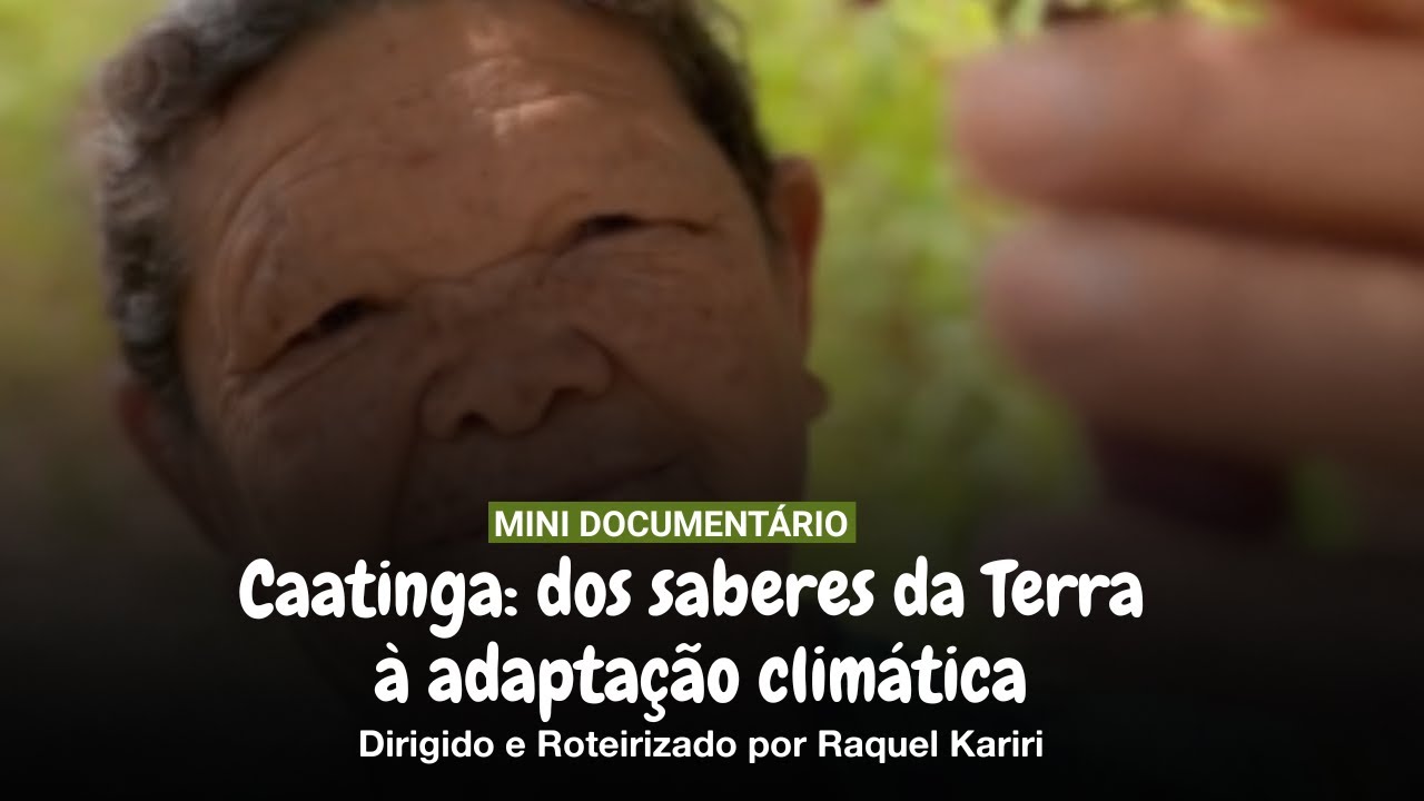 Caatinga: dos saberes da Terra à adaptação climática