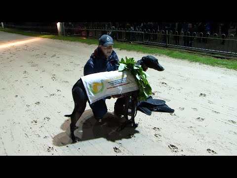 The 2021 Friends & Supporters of Cork Greyhound Racing Irish Laurels Final