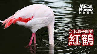 [討論] 聽個舒緩沉重心情